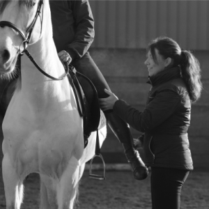 Horse & Rider Biomechanics Essex | Mary Yiannoullou