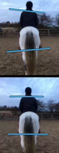 Rider Straightness and influence on the horse | Cassical Riding Instructor Essex