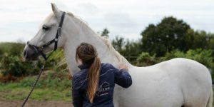 Horse & Rider Biomechanics Essex | Mary Yiannoullou Classical Riding Instructor Essex | Mary Yiannoullou
