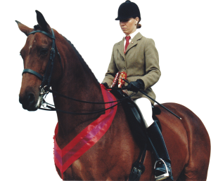 Classical Riding Instructor Essex | Mary Yiannoullou