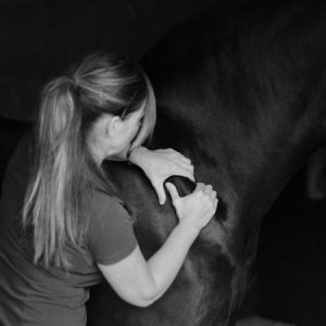 Equine Sports Massage Therapist Essex | Mary Yiannoullou