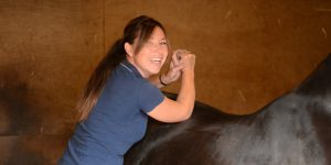 Equine Sports Massage Therapist Essex | Mary Yiannoullou