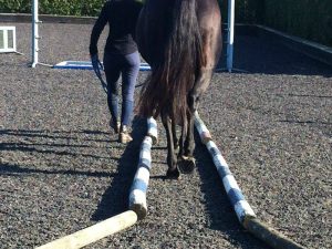 Straightness Training | Essex | Mary Yiannoullou