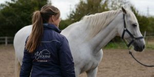 Equine Sports Massage Therapist Essex | Mary Yiannoullou